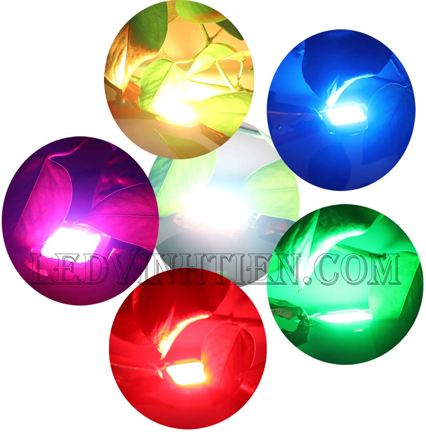 Tim đèn pha 50W xanh lá loại tốt, giá rẻ, chất lượng, Ledvinhtien.com