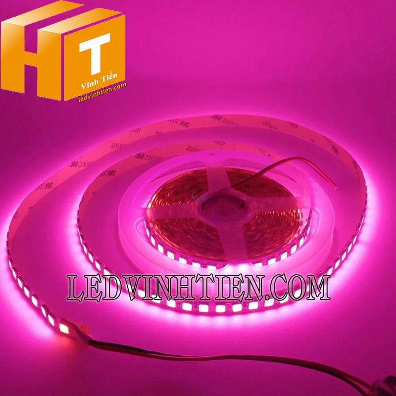 Dây đèn led 5054 ánh sáng màu hồng