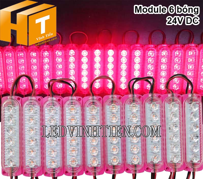 Đèn led module 24V màu hồng