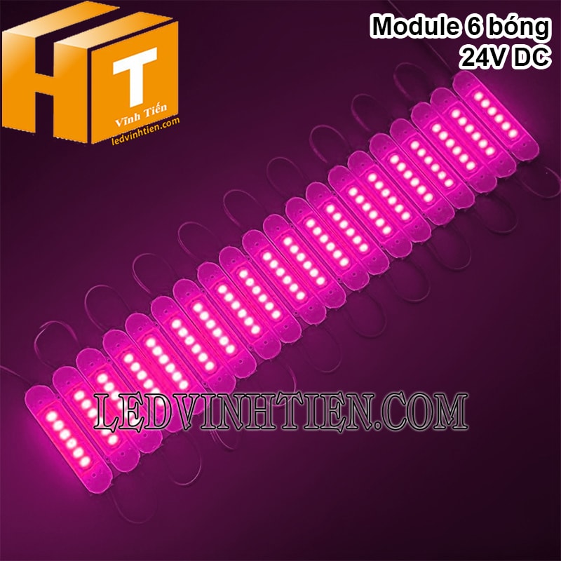 Module led 24V màu hồng tại TPHCM
