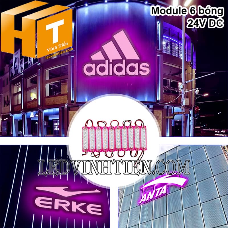 Module led 6 bóng 24V màu hồng