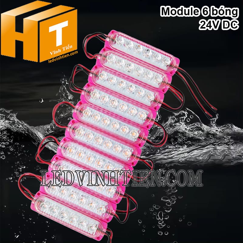 Module led 6 bóng ánh sáng hồng chống nước