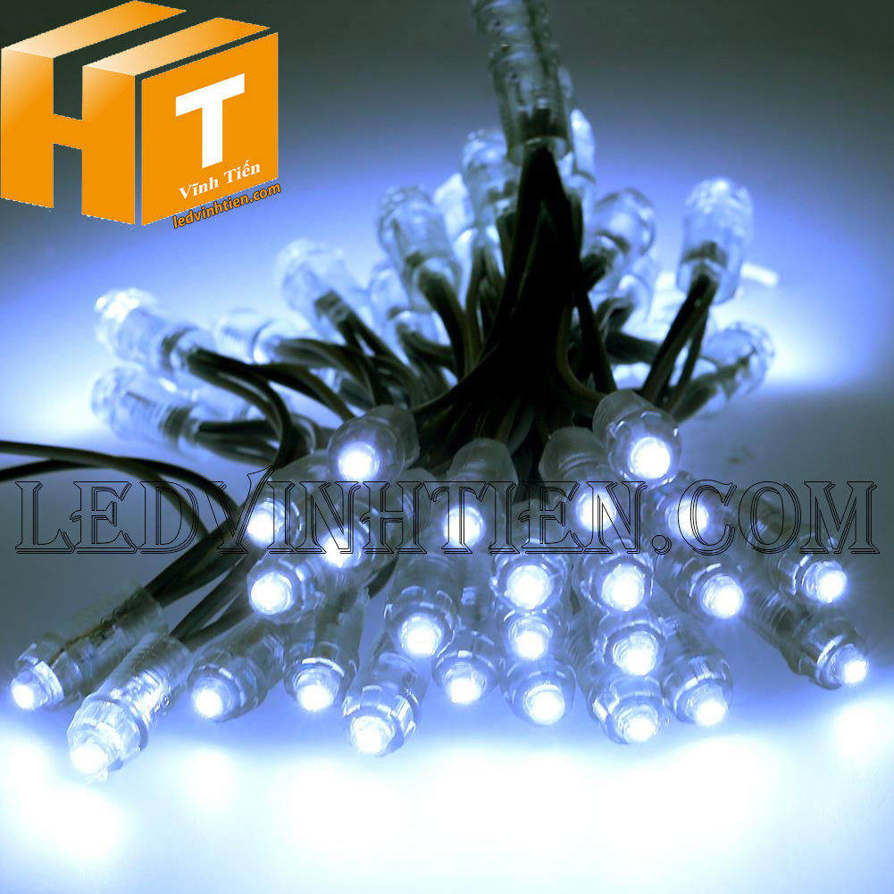 Led đúc f5 màu trắng loại tốt, giá rẻ, siêu sáng, chiếu sáng ngoài trời