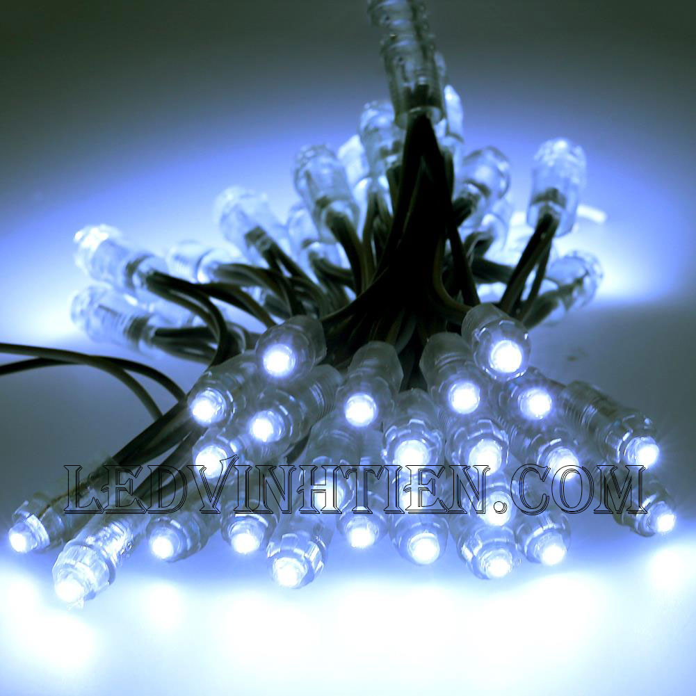 Bóng Led đúc f5 màu vàng loại tốt, giá rẻ, siêu sáng, dây đồng, dùng hắt chử, logo quảng cáo, trang trí noel