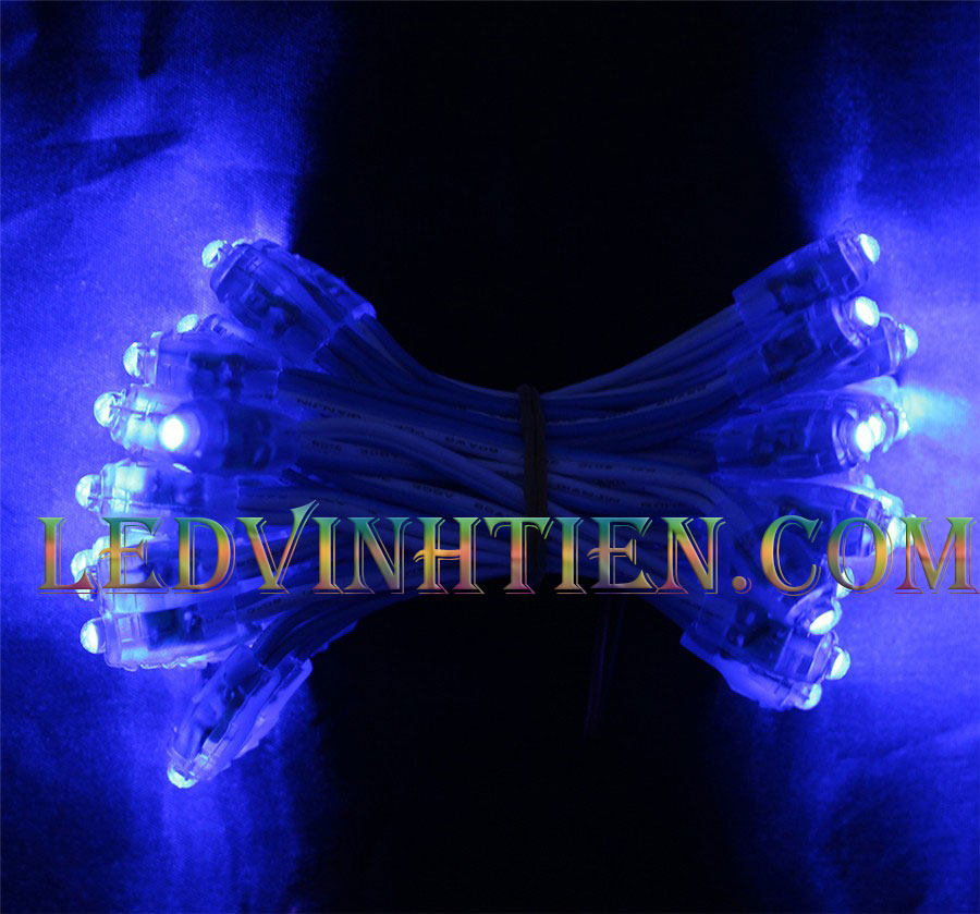 Led đúc f5 màu xanh dương loại tốt
