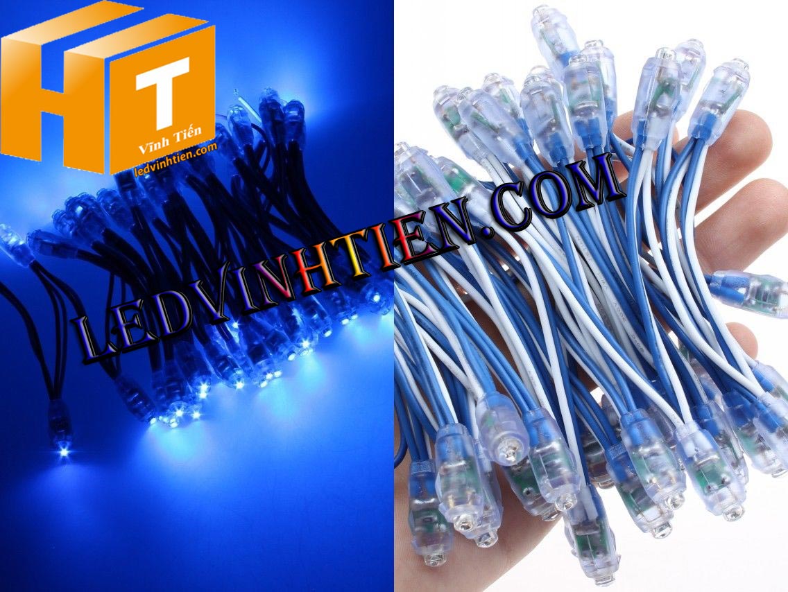 Led đúc f5 màu xanh dương loại tốt