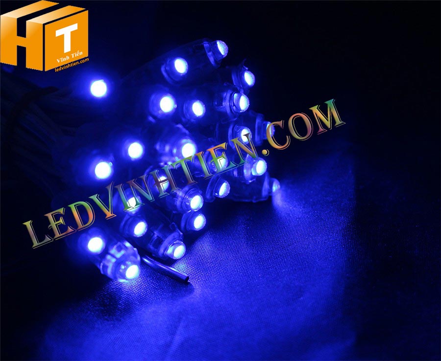 Led đúc f5 màu xanh dương loại tốt, ledvinhtien.com