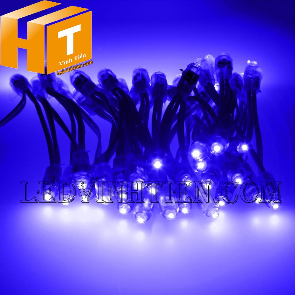 Led đúc F5 màu xanh dương loại tốt, giá rẻ, ngoài trời, Ledvinhtien.com