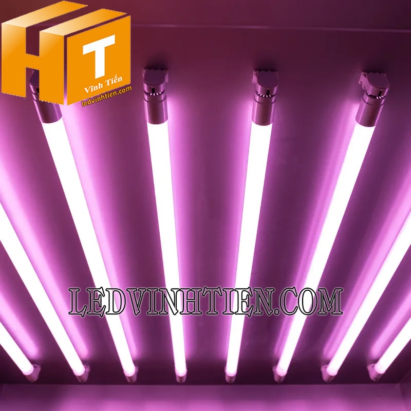 Bóng led tuýp T8 màu hồng